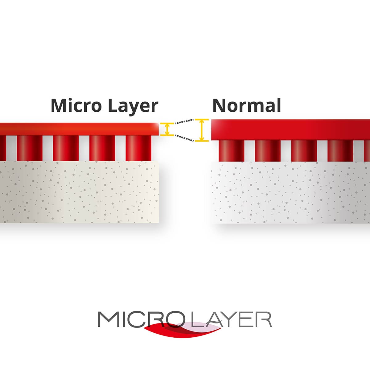 MICRO LAYER