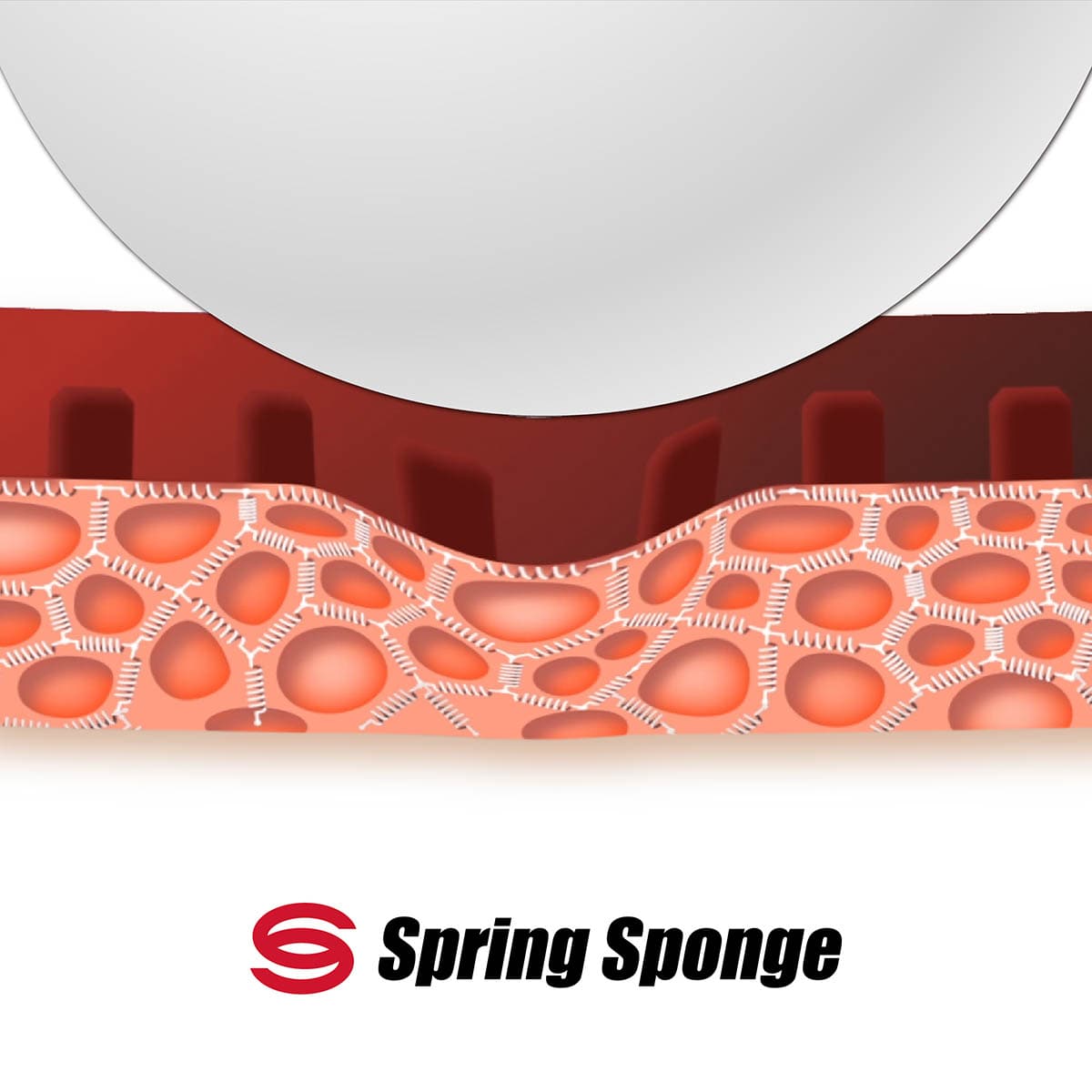 spring sponge