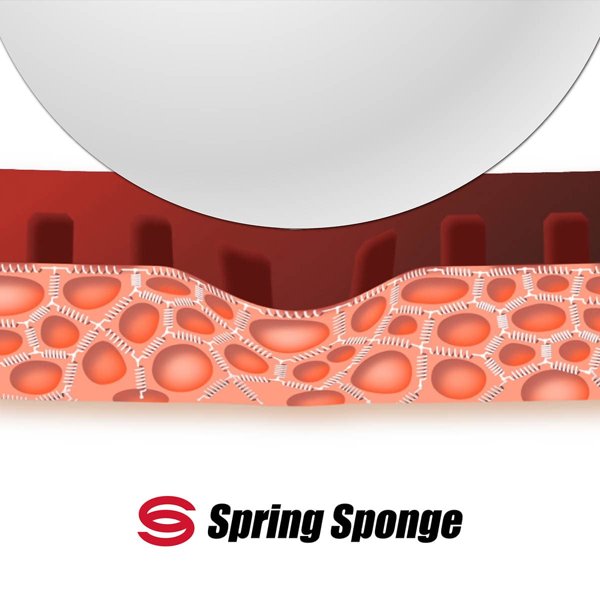 SPRING SPONGE