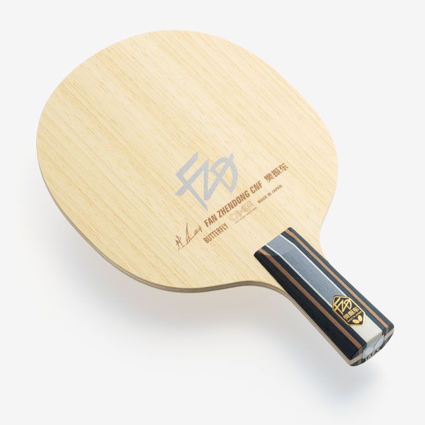 Fan Zhendong CNF - CS