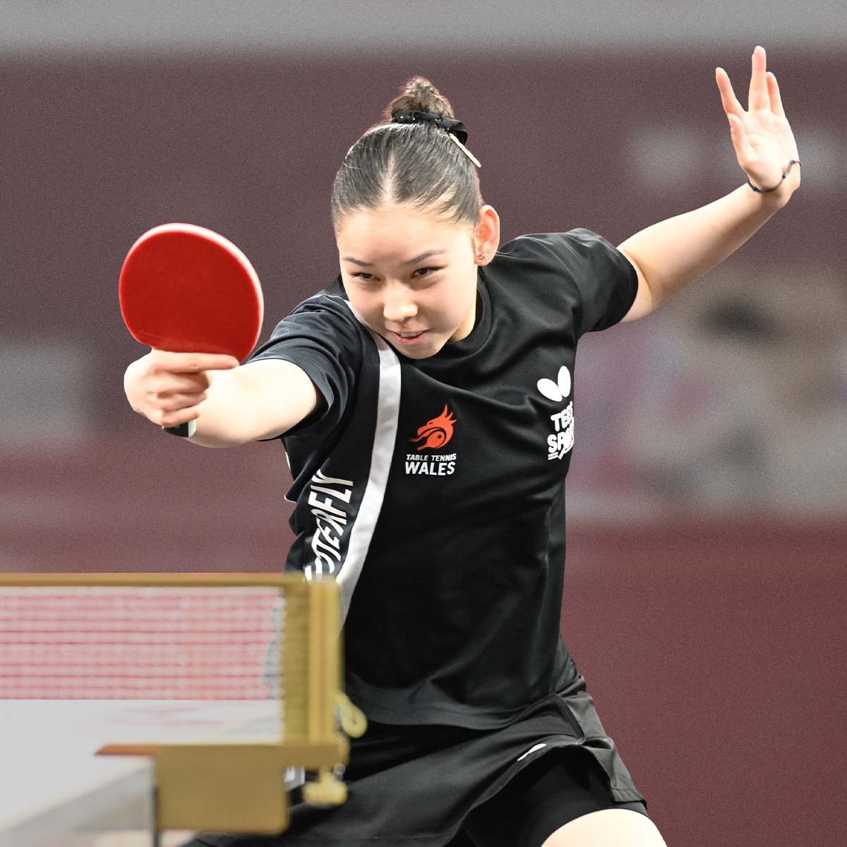 Anna Hursey (WAL)