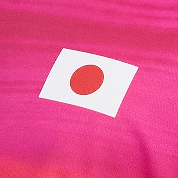 日本队